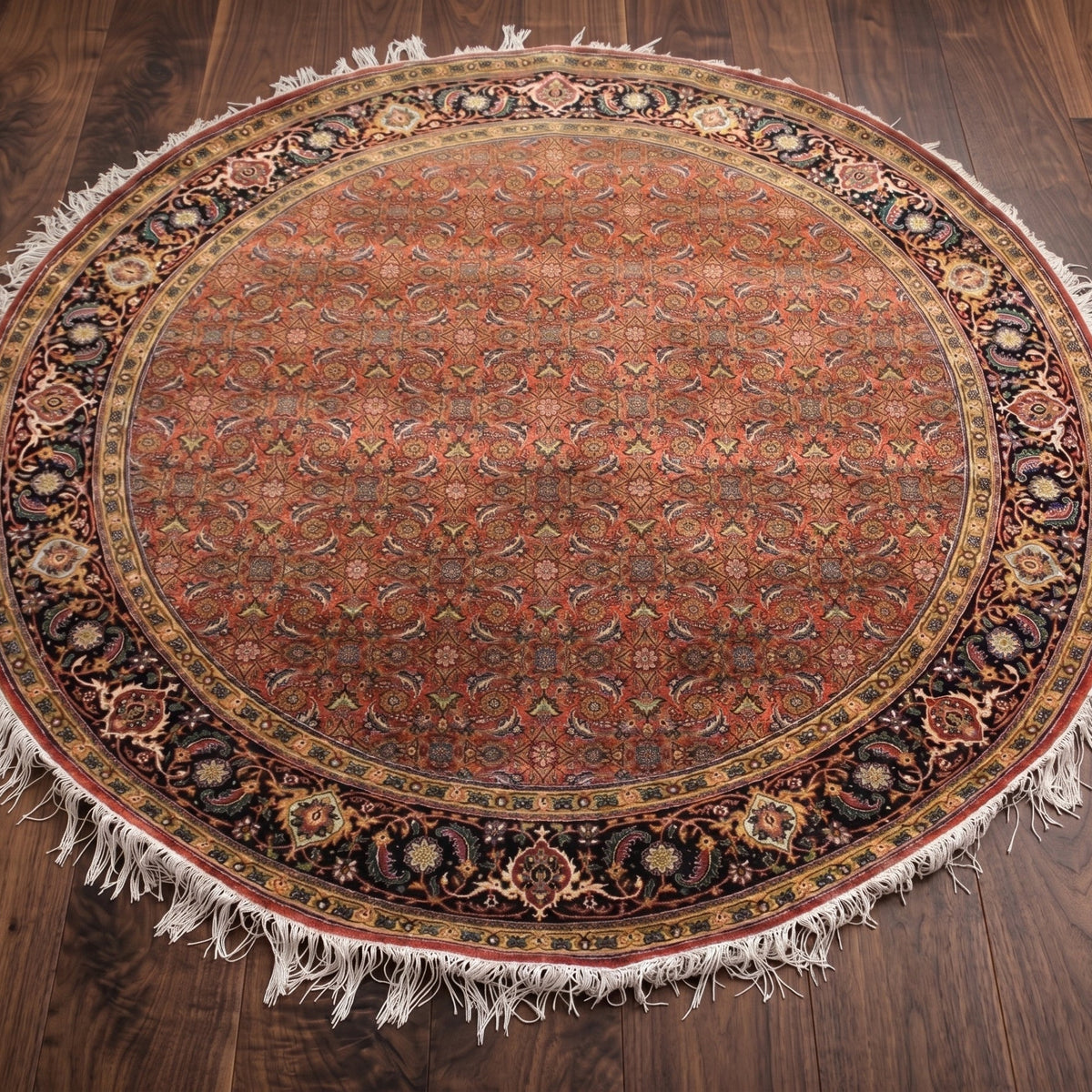 Herati Hand-knotted Fine Wool Rug Rust/Navy